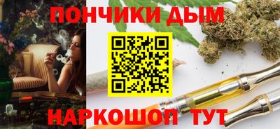 МДПВ Дубна