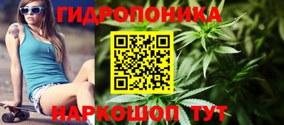 a pvp Донской