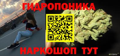 МДПВ Дубна