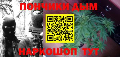 МДПВ Дубна