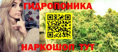 a pvp Донской