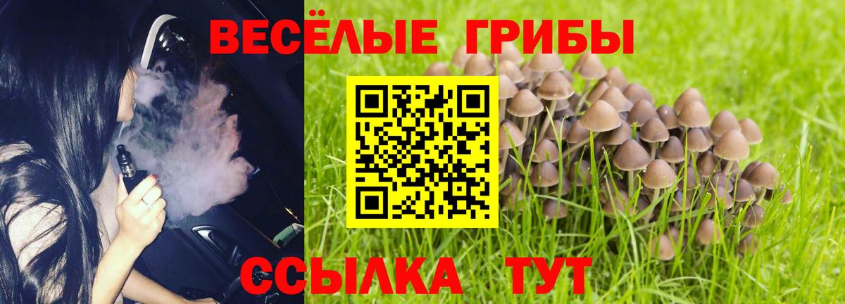 Кандалакша  Псилоцибиновые грибы мухоморы  купить наркоту  Вход с VPN  Псилоцибиновые грибы Psilocybine cubensis 